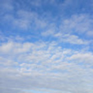 Meet your Posher, Caleb